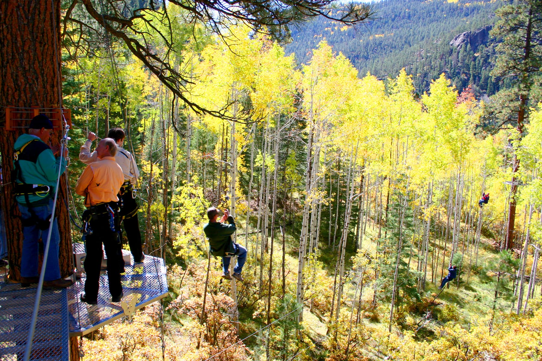 soaring during fall colors in late september/early october photo 18