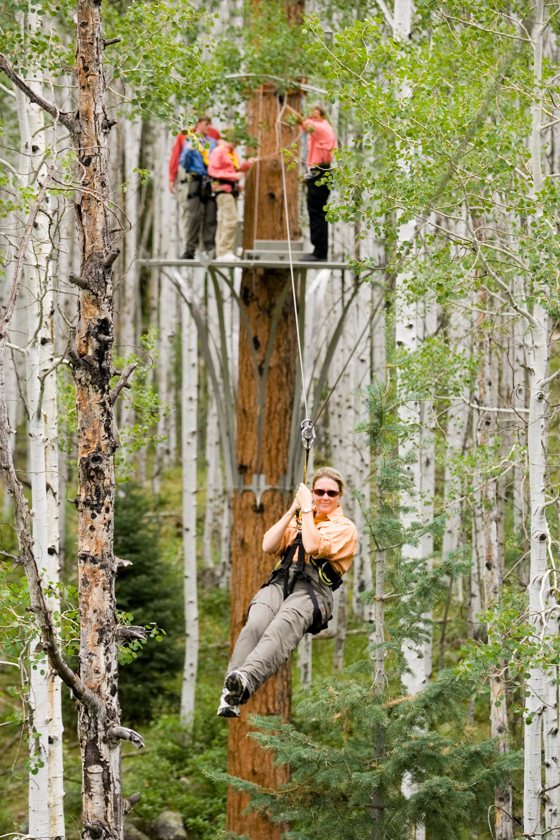 soaring through beautiful aspen forest photo 9