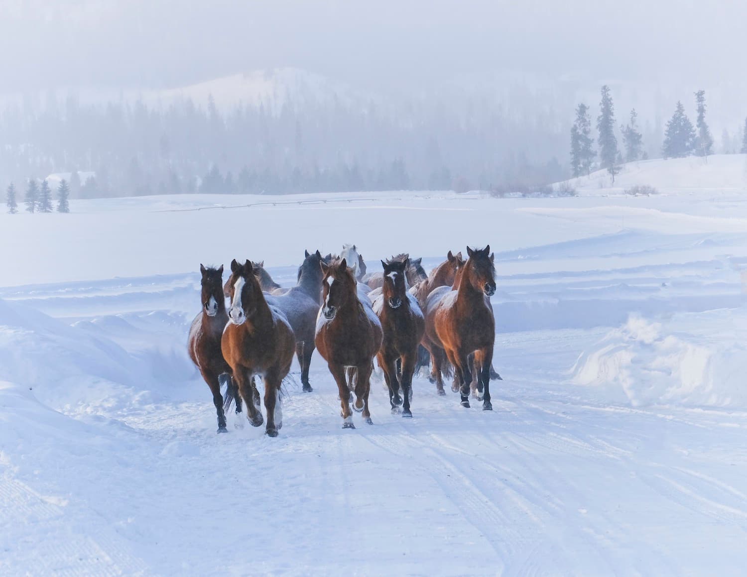 morning run in photo 9