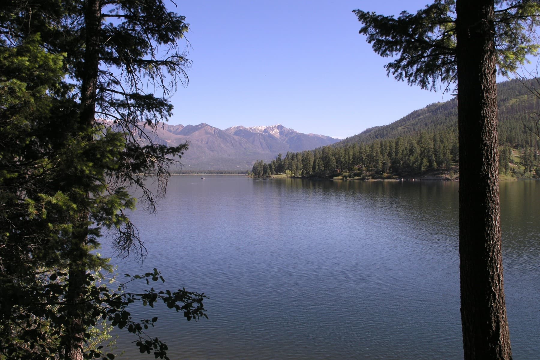 vallecito lake photo