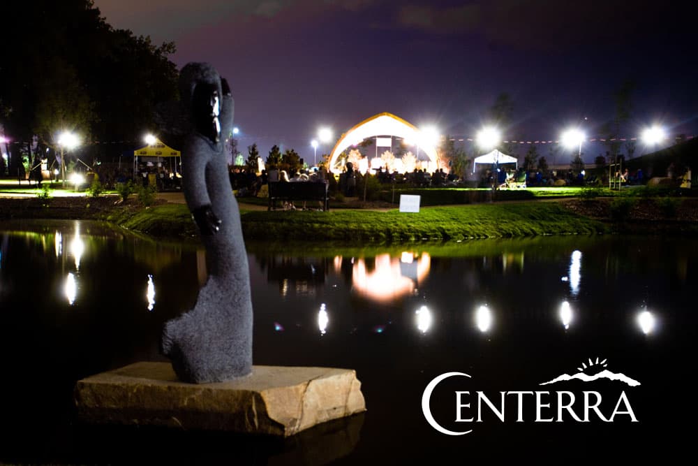 chapungu sculpture part at night photo