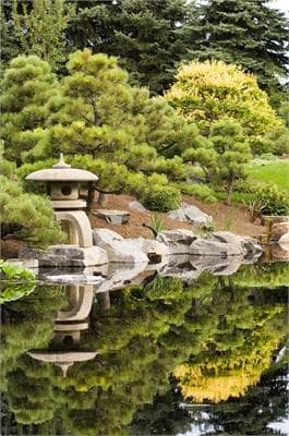japanese garden photo