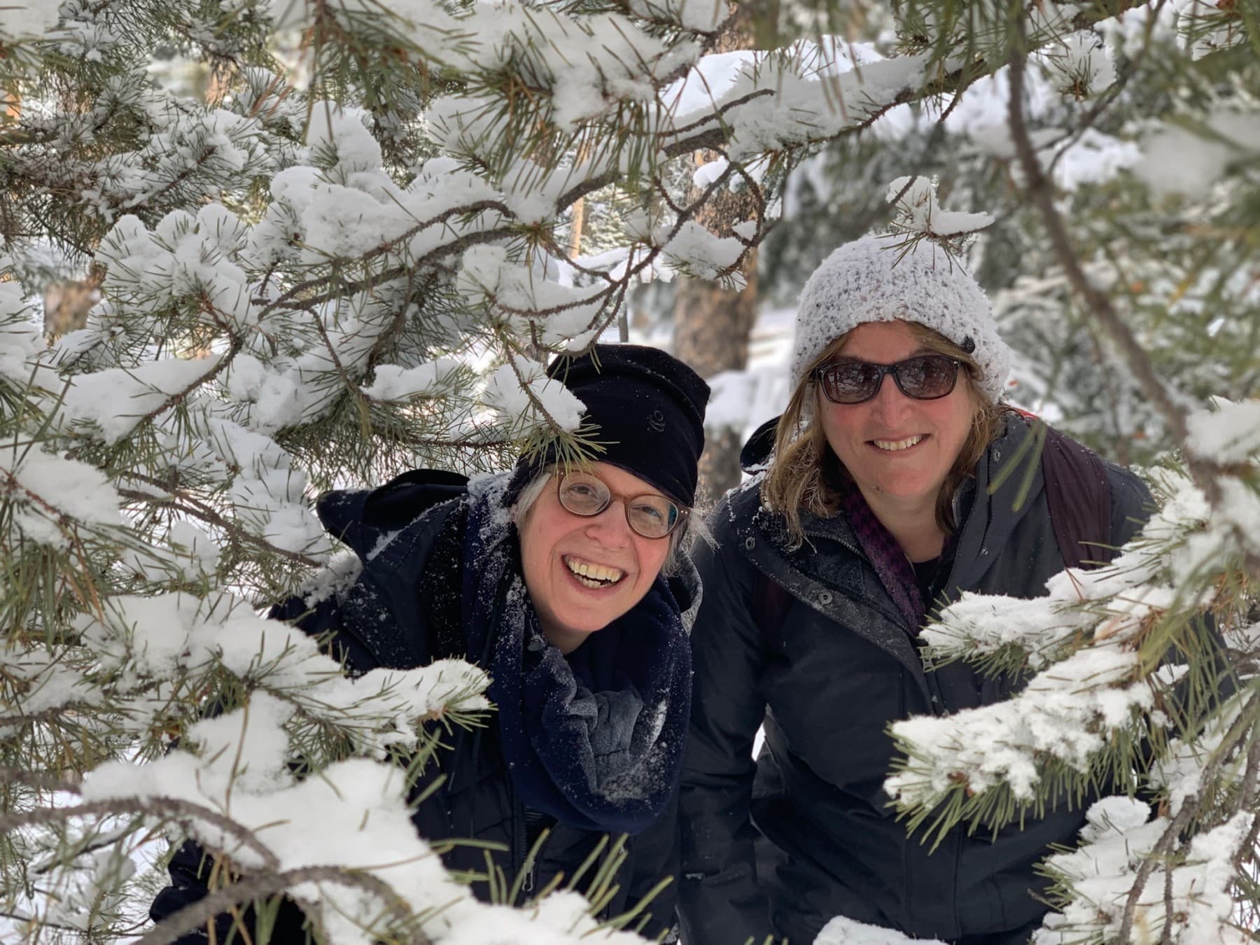 snowshoe with family and friends! photo 7