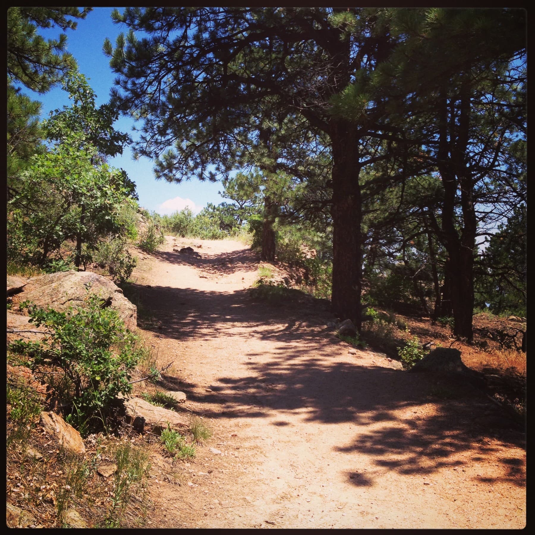 hike thru the pine forests! photo 8