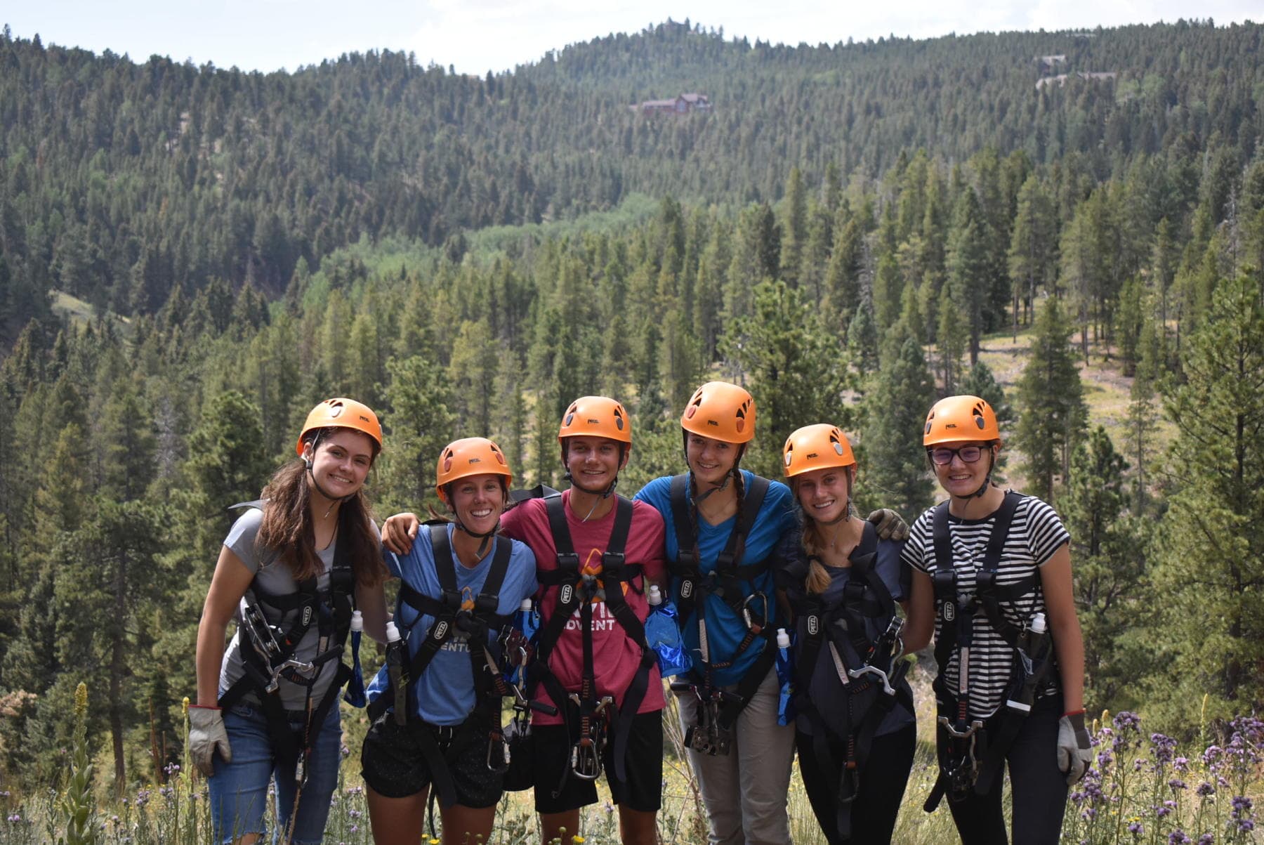 enjoy the wild flowers in the rocky mountains! photo 3