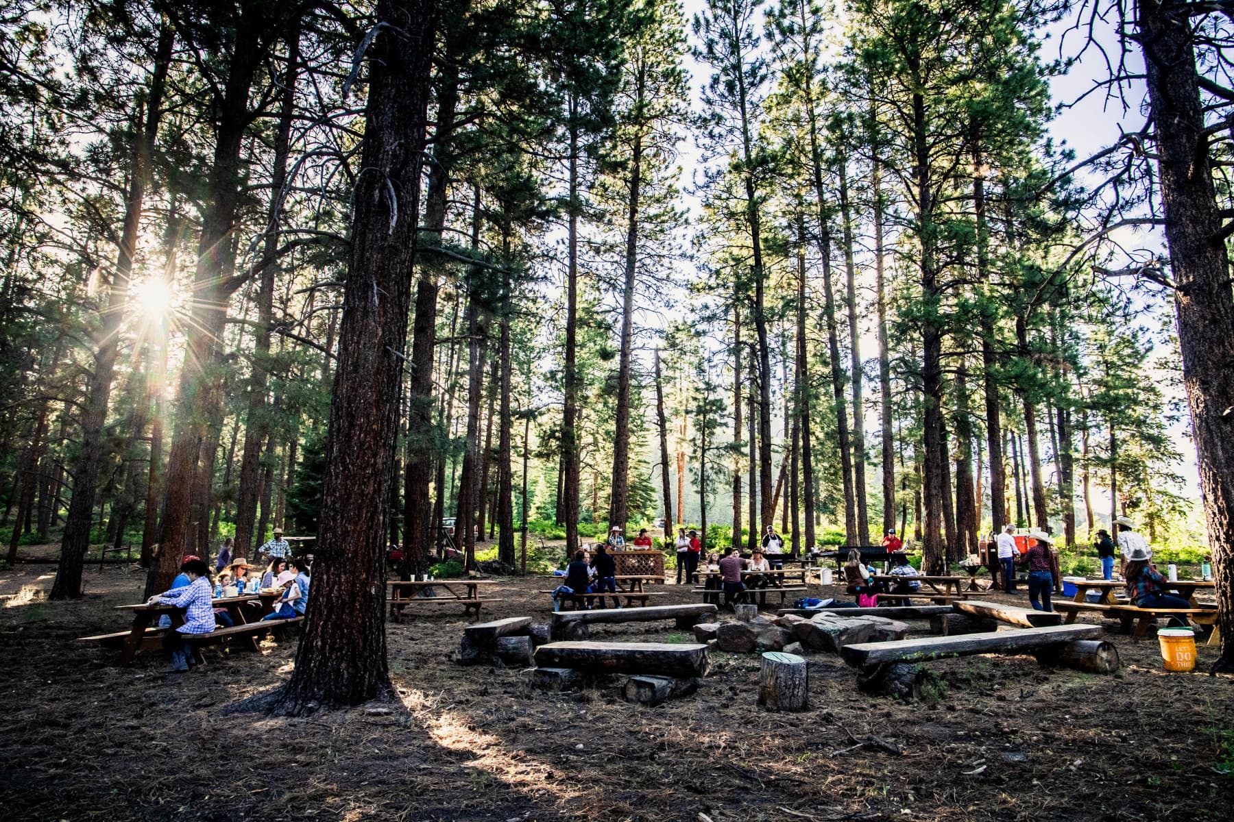 colorado trails ranch photo 6